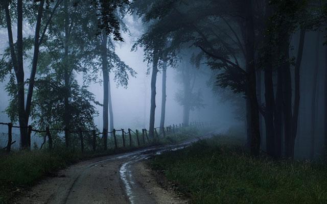 Dow Hill Haunted Kurseong